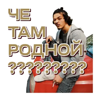 😎 emoji SHEKER II Telegram sticker 10 of 43