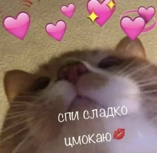 💋 emoji моё Telegram sticker 12 of 70