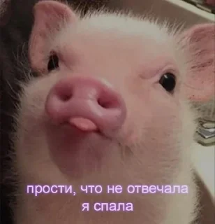 🌟 emoji Няшики💞😋 Telegram sticker 9 of 24