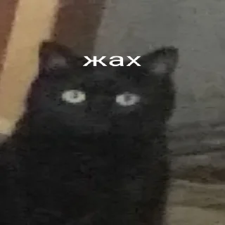 👀 emoji зроз Telegram sticker 10 of 18