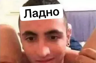 Sticker from Денисочка pig