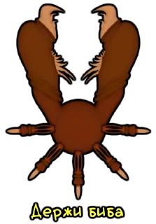 🪳 emoji Cult of beebs Telegram sticker 23 of 49