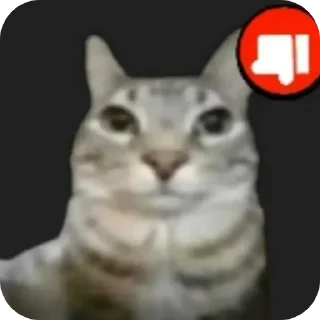 🐱 emoji Отец Влада Telegram sticker 21 of 39