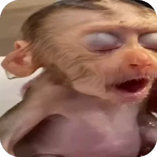 😴 emoji обезьянки 🐒 Telegram sticker 15 of 30