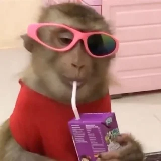 🌟 emoji обезьянки 🐒 Telegram sticker 22 of 30