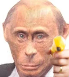 🔫 emoji monke putin Telegram sticker 5 of 16