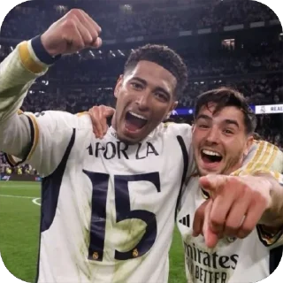 😂 emoji БЕЛЛИНГЕЙ Telegram sticker 6 of 20
