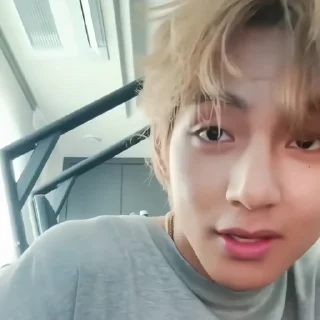 🐾 emoji thv @bonesdolly Telegram sticker 15 of 45