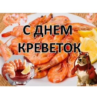 🦐 emoji С днём дня! @stickernayaa Telegram sticker 23 of 102