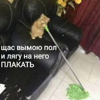 😭 emoji токсичные мемы 2. Telegram sticker 2 of 27