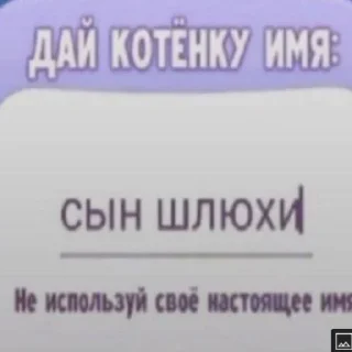🤣 emoji котяра сникерс Telegram sticker 10 of 33