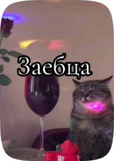Sticker from Ребячество | Мафия 122