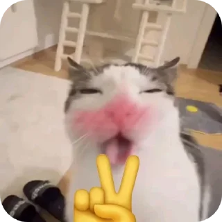 😀 emoji Владислав одобряет Telegram sticker 11 of 22