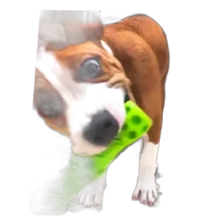 😡 emoji Козявка Telegram sticker 6 of 29