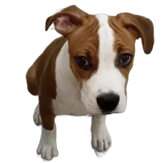 😔 emoji Козявка Telegram sticker 1 of 29