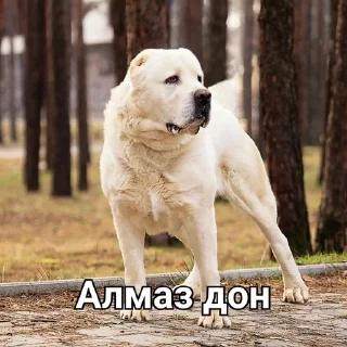 ☺️ emoji 2022 жана стикер Telegram sticker 7 of 11