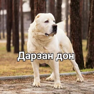 😍 emoji 2022 жана стикер Telegram sticker 8 of 11