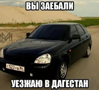 🤨 emoji жесть котеночек Telegram sticker 14 of 25