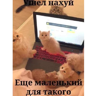 🥰 emoji Стики Telegram sticker 24 of 120
