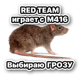 🐀 emoji Обзоры S-M Telegram sticker 24 of 38