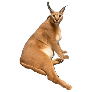 😶 emoji Шлёпа 2 Telegram sticker 17 of 50
