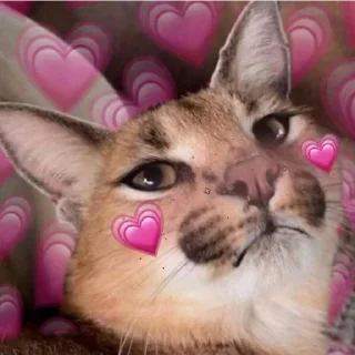 💗 emoji Шлёпа 2 Telegram sticker 18 of 50