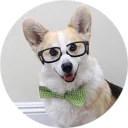 🤓 emoji Welsh Corgi Telegram sticker 10 of 42