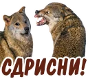 🤢 emoji животные Telegram sticker 19 of 58