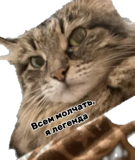 Sticker from Дарья Легенда