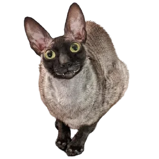 Sticker from пиксель @pixel_gifs