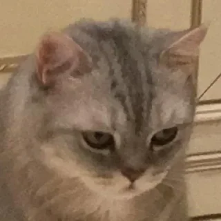 😞 emoji from Mnogoznalll to idi naxyi bluat Telegram sticker 24 of 120
