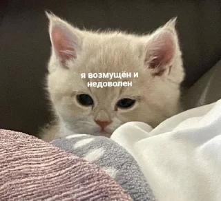 Sticker from стики от владочки