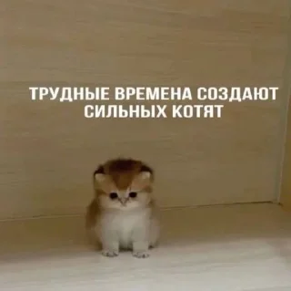 💗 emoji стики от владочки Telegram sticker 14 of 120