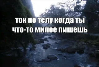 Sticker from прости, что люблю тебя...