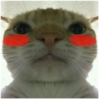 Sticker from Коты