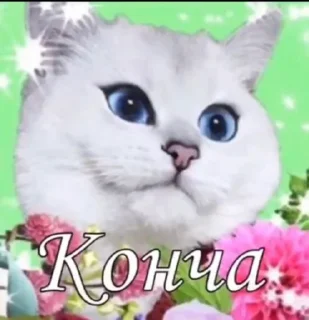 🐱 emoji ёбаный рот этого казино Telegram sticker 5 of 97