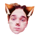 Sticker from VHS TEAM