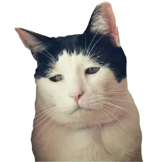 😕 emoji F/G Telegram sticker 5 of 106