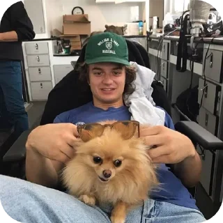 🐶 emoji ๑ kurt kunkle ✿🍜 Telegram sticker 5 of 28