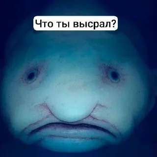 Sticker from Капля 11анал