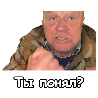 ❓ emoji Сан Саныч Telegram sticker 15 of 47