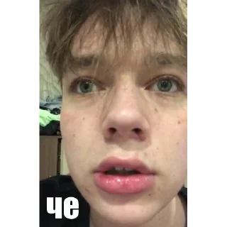 🤨 emoji моржик😚 Telegram sticker 21 of 33