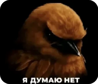 👺 emoji птицы сомнения Telegram sticker 17 of 104