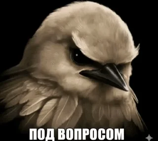 😬 emoji птицы сомнения Telegram sticker 6 of 104