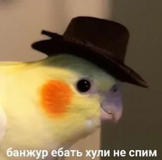 🖖 emoji Кто нахуй Telegram sticker 7 of 37