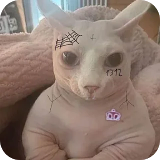 👖 emoji ⚡Catcrew⚡ Telegram sticker 7 of 19