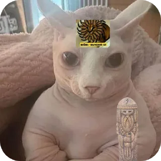 👖 emoji ⚡Catcrew⚡ Telegram sticker 6 of 19