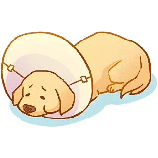 😔 emoji Милый ретривер @Nyasticks Telegram sticker 10 of 41
