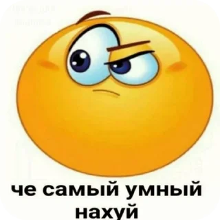🤨 emoji Smile Telegram sticker 17 of 33
