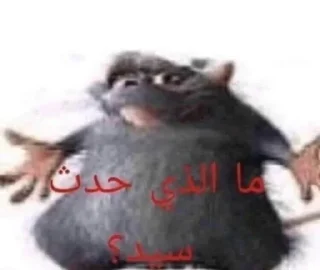 🇮🇶 emoji Arabic Rjaka Telegram sticker 24 of 43
